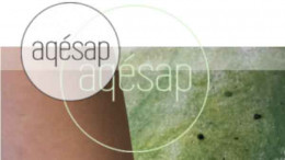 Association québécoise des éducatrices et éducateurs spécialisés en arts plastiques (AQESAP) Association québécoise des éducatrices et éducateurs spécialisés en arts plastiques (AQESAP)