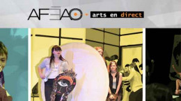 AFÉAO, arts en direct, outils variés sur les techniques théâtrales, plans de leçon, extraits vidéo AFÉAO, arts en direct, outils variés sur les techniques théâtrales, plans de leçon, extraits vidéo